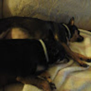 Meet your Posher, William